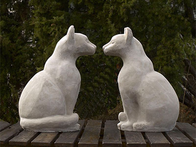 Katter