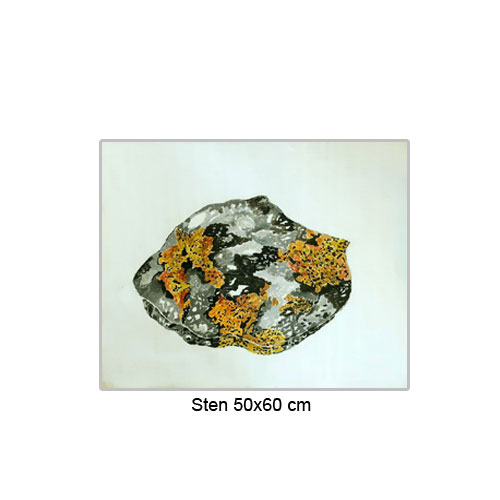 Sten 50x60cm