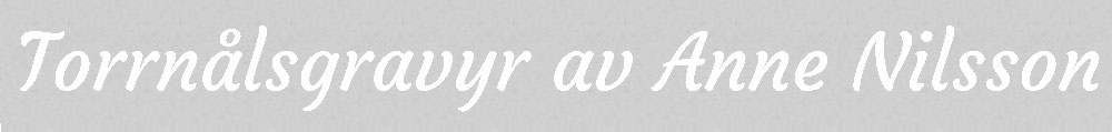 Torrn�l av Anne Nilsson