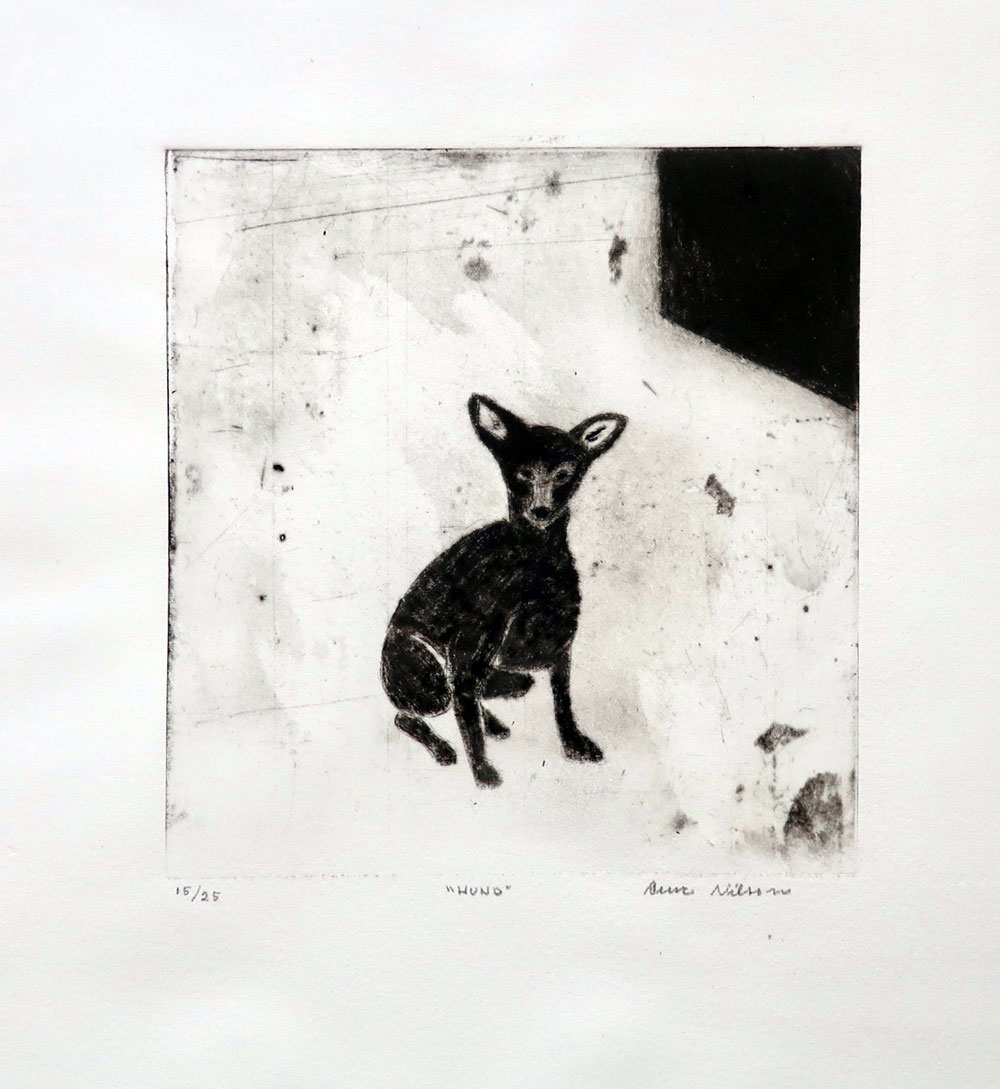 Ensam hund